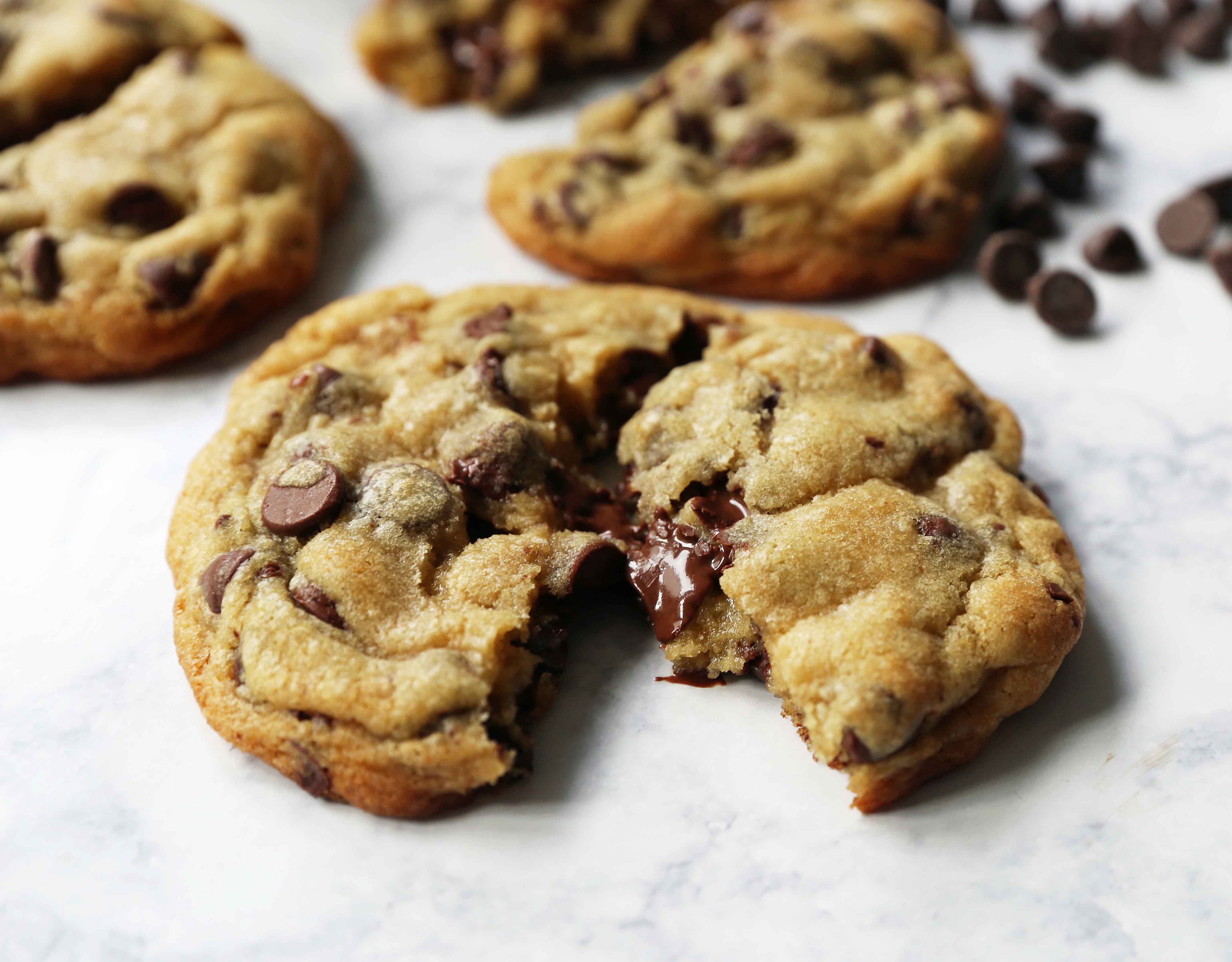 Chocolate Chip Cricket Cookies