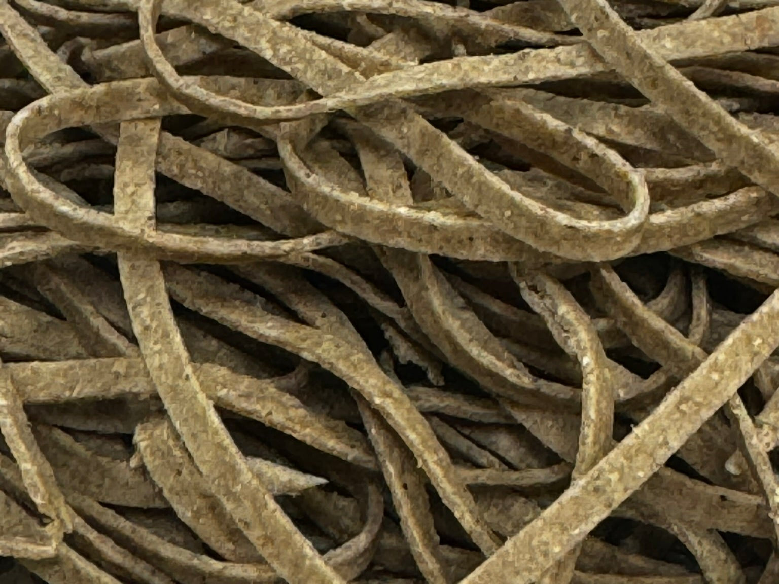 Whole Wheat Cricket Pasta