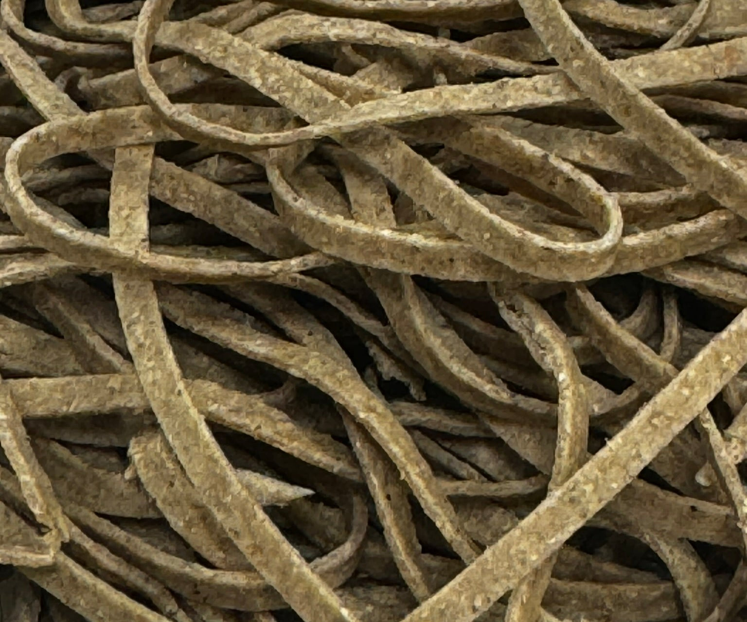 Whole Wheat Cricket Pasta