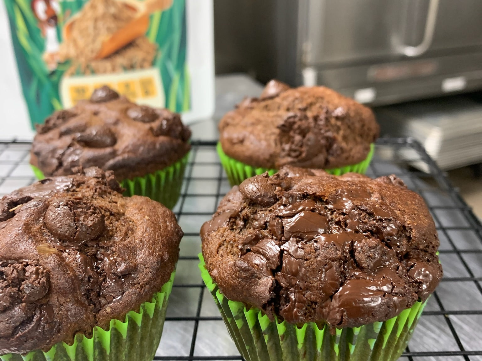 Double Chocolate Cricket Muffins