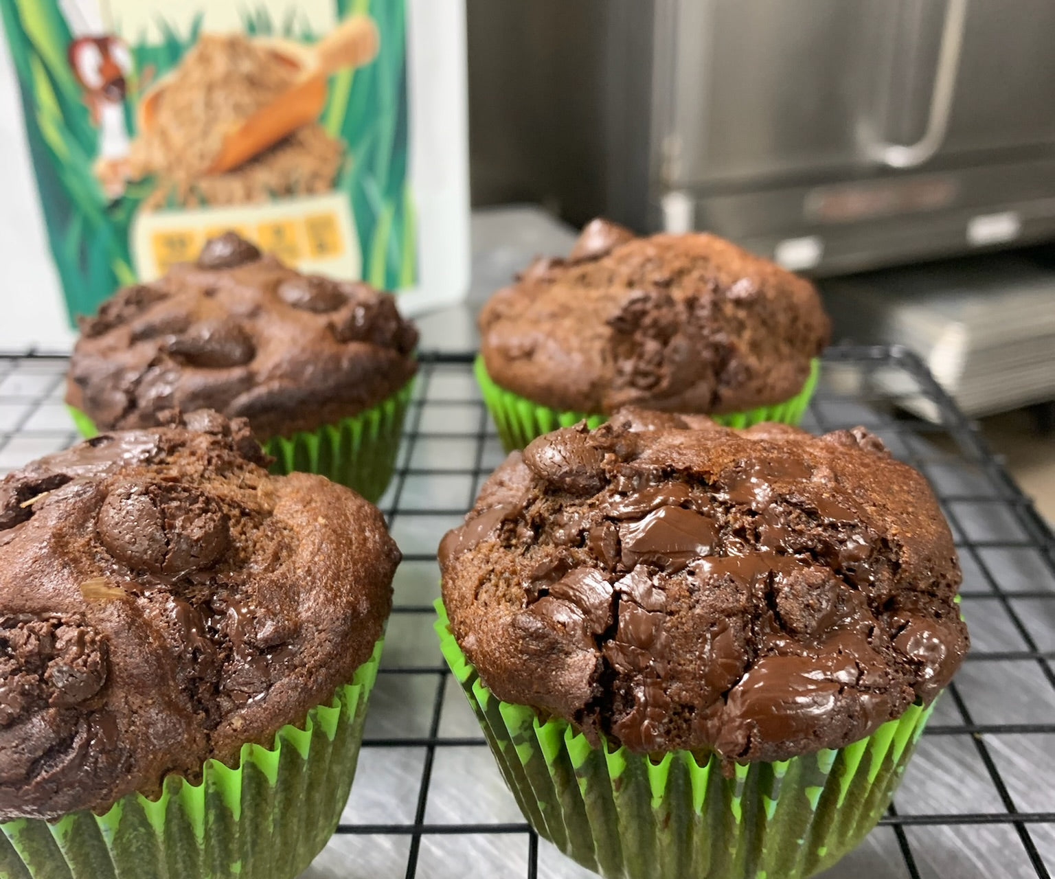 Double Chocolate Cricket Muffins