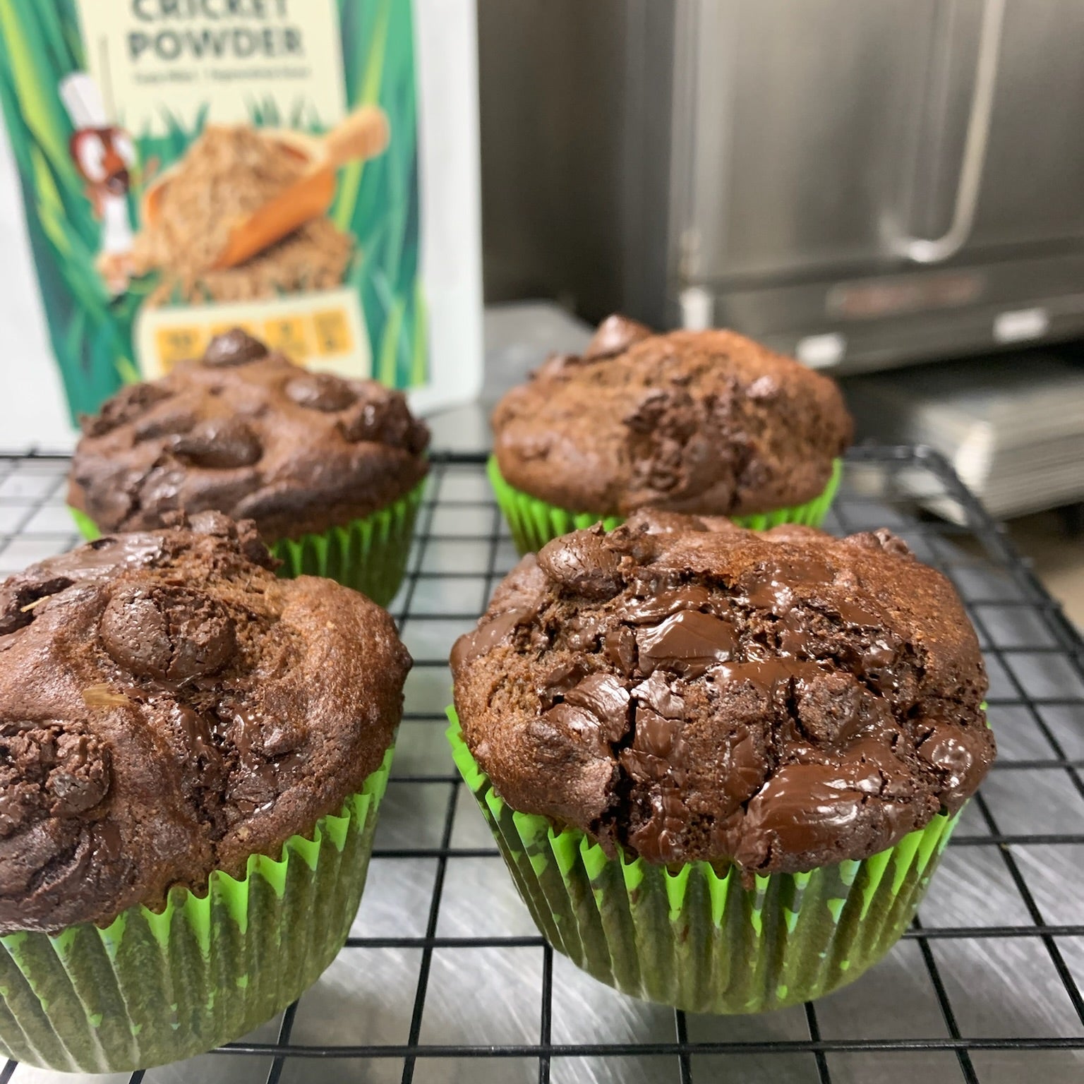Double Chocolate Cricket Muffins