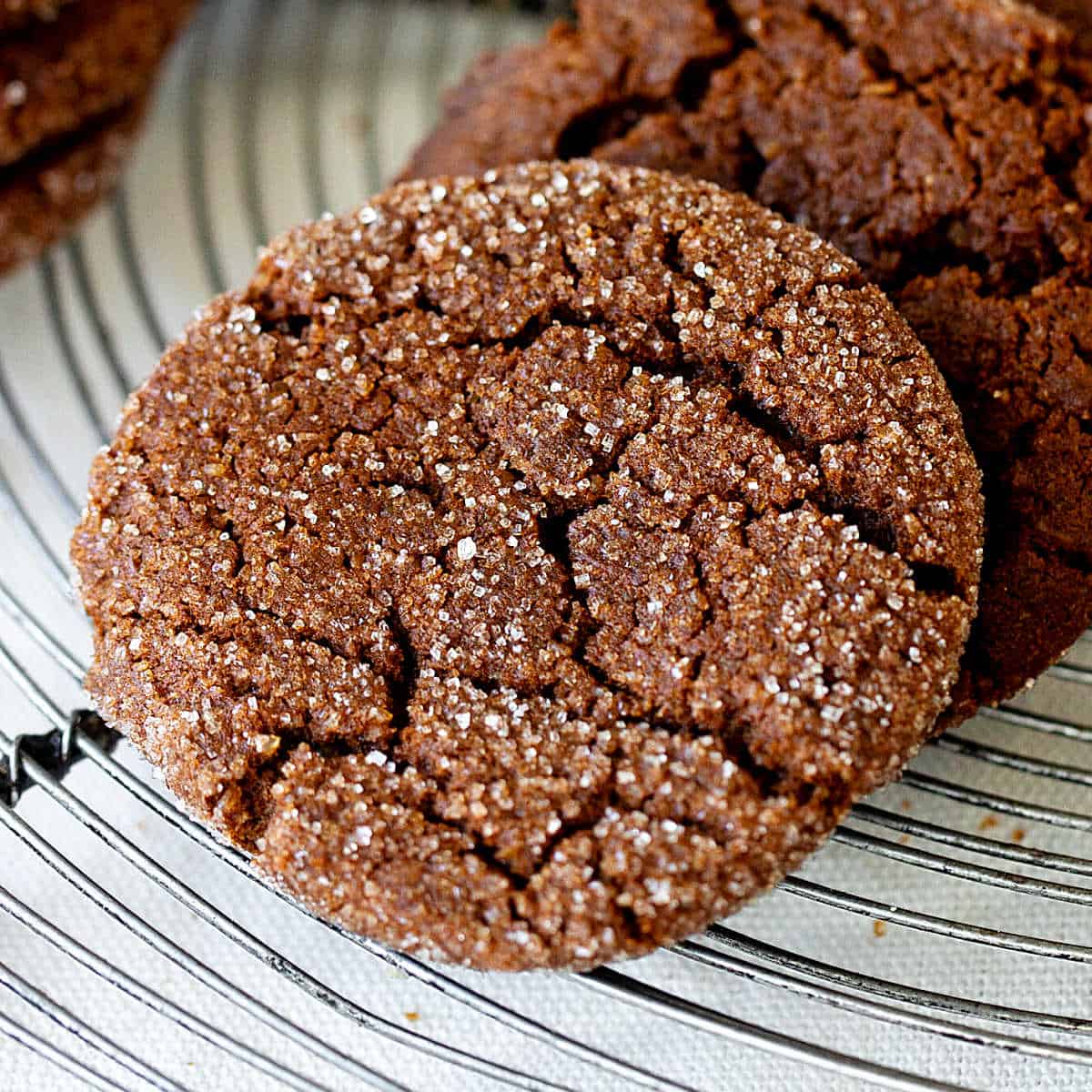 Molasses Cricket Cookies