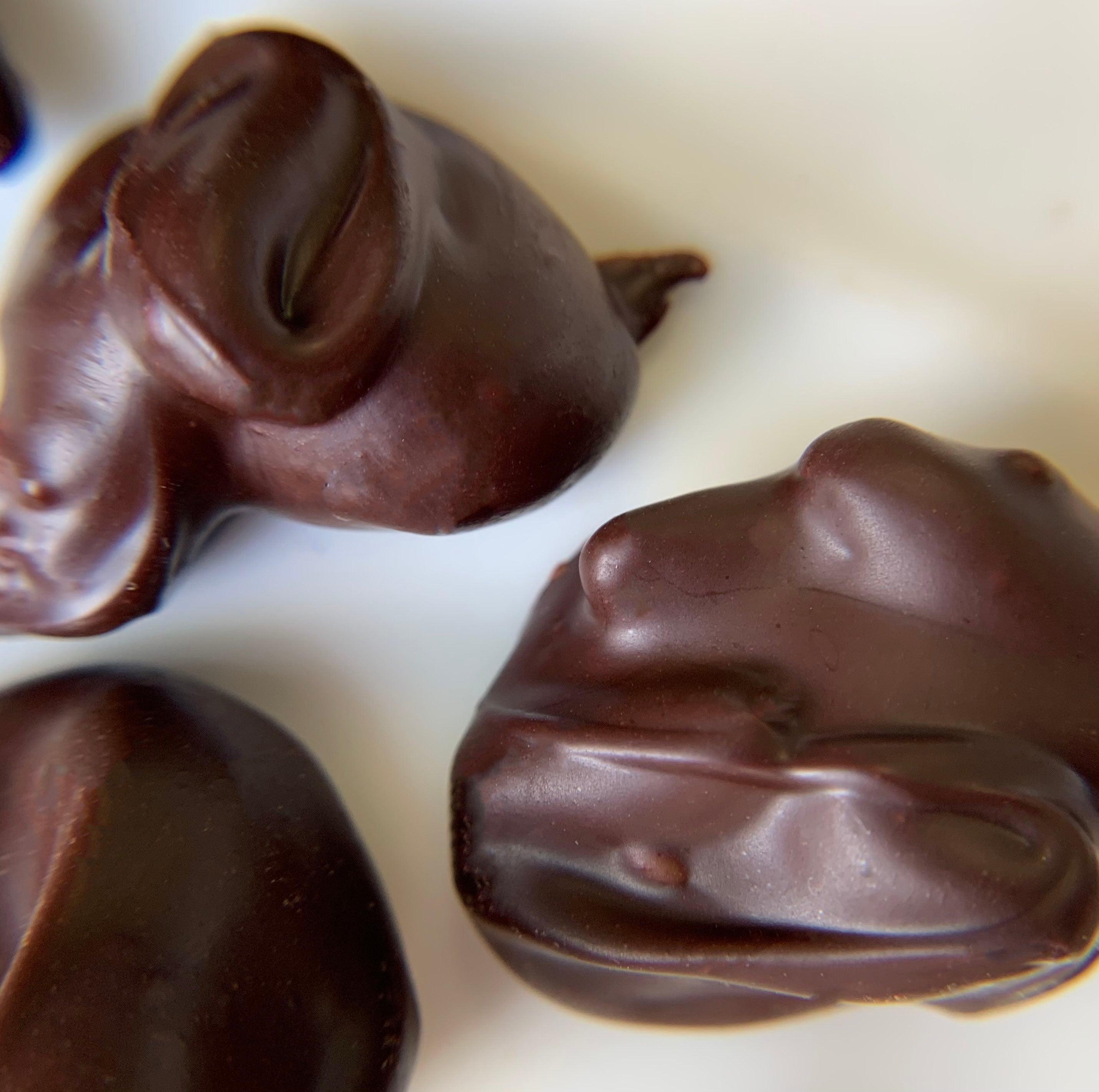Chocolate covered crickets
